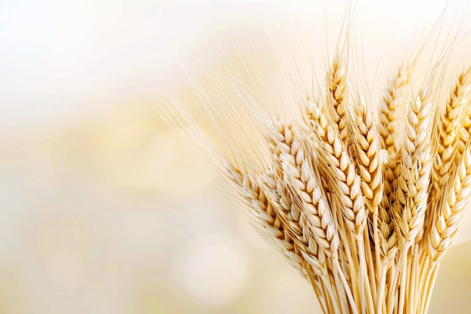 Immagine di vwalakte su Freepik