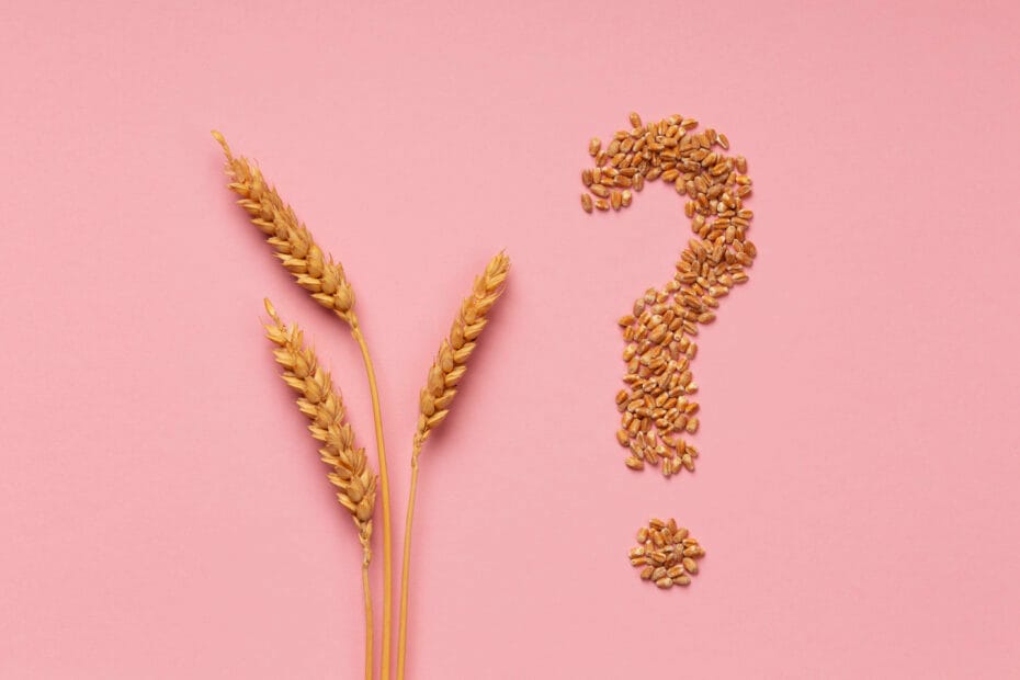 grano sensibilita al glutine non celiaca NCGS